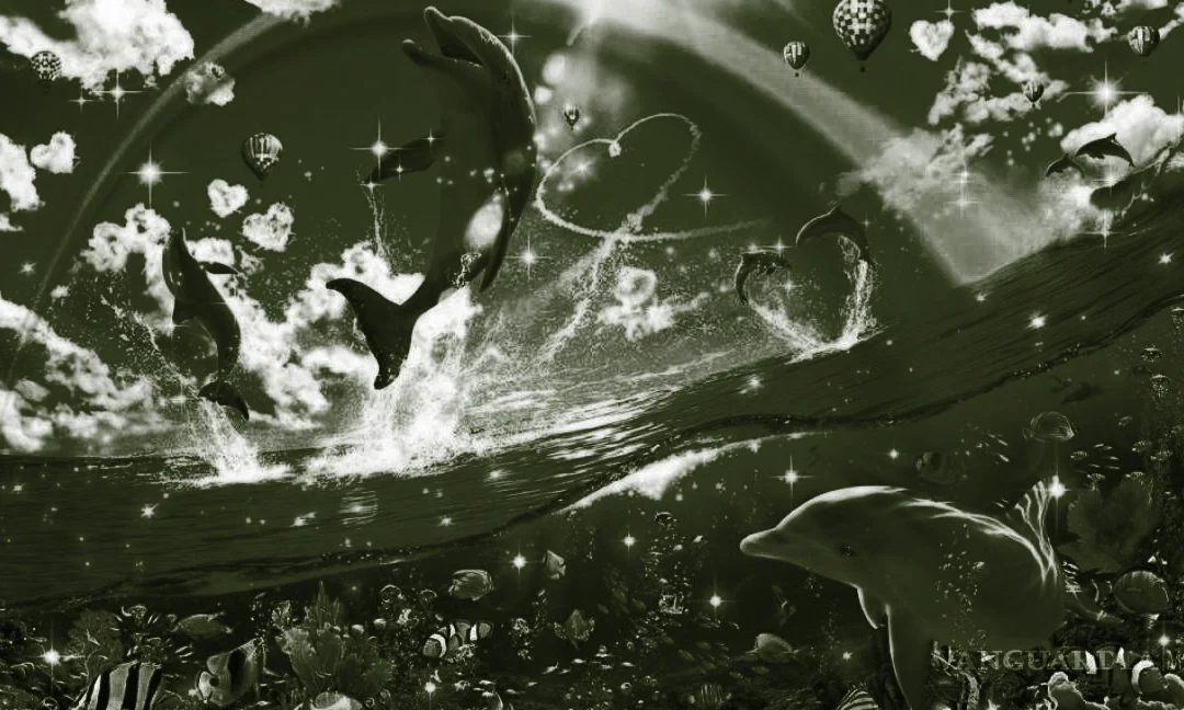 Distorsión y saturación. El diseño de memes en 2024.